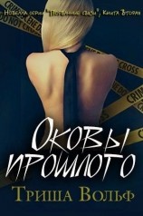 читать Оковы прошлого. Книга вторая