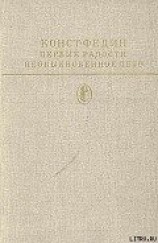 читать Первые радости