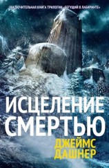 читать Исцеление смертью