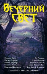 читать Вечерний свет