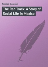 читать The Red Track: A Story of Social Life in Mexico