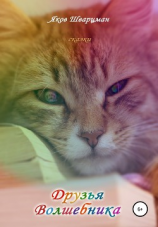 читать Друзья Волшебника