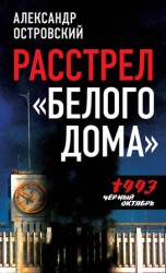 читать Расстрел Белого дома. Черный Октябрь 1993 года