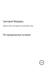 читать Цемент течет как вода, или Почем фунт лиха