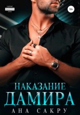 читать Наказание Дамира