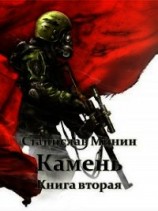 читать Камень. Книга вторая