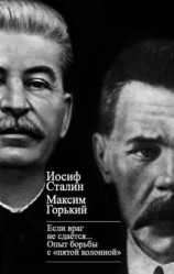 читать «Если враг не сдается» Опыт борьбы с «пятой колонной» в СССР