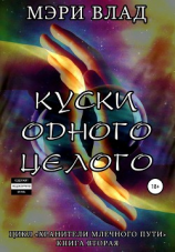 читать Куски одного целого