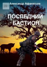 читать Последний бастион