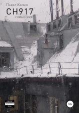 читать СН917