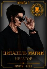 читать Цитадель Магии: Негатор