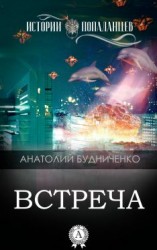читать Будниченко Анатолий: Встреча