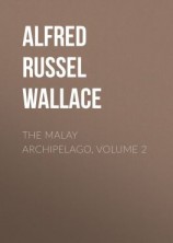 читать The Malay Archipelago, Volume 2