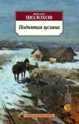 читать Поднятая целина