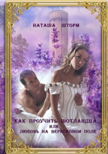 читать Как проучить шотландца, или Любовь на вересковом поле