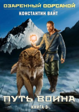 читать Озаренный Оорсаной. Книга 3. Путь Воина