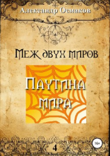 читать Меж двух миров 4. Паутина мира