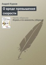читать О вреде превышения скорости