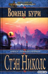 читать Воины бури