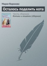 читать Осталось поделить кота