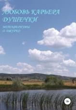 читать Любовь  карьера душечки