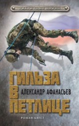 читать Гильза в петлице