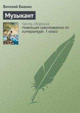 читать Музыкант
