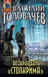 читать Возвращение «Стопкрима»