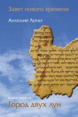 читать Завет Нового Времени. Книга первая. Город двух лун
