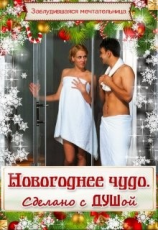 читать Новогоднее чудо. Сделано с душой