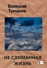 читать Не сломанная жизнь