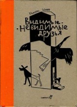 читать Видимые-невидимые друзья