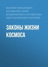 читать Законы Жизни Космоса