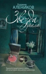 читать Звезда упала