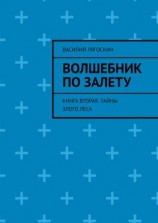 читать Волшебник по залету. Книга вторая. Тайны Злого Леса