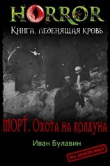 читать Морт. Охота на колдуна