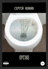 читать Врезка