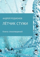 читать Лётчик стужи