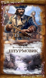 читать Штурмовик