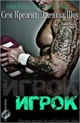 читать Игрок