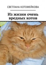 читать Из жизни очень вредных котов