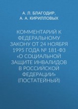 читать Комментарий к Федеральному закону от 24 ноября 1995 г.  181-ФЗ «О социальной защите инвалидов в Российской Федерации» (постатейный; издание третье, переработанное и дополненное)