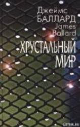 читать Перегруженный человек
