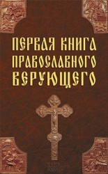 читать Первая книга православного верующего