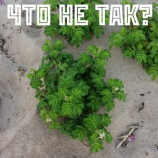 читать Что не так?