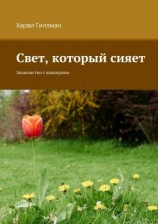 читать Свет, который сияет. Знакомство с квакерами