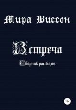 читать Встреча
