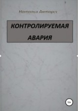 читать Контролируемая авария