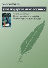 читать Два портрета неизвестных