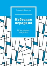 читать Небесная иерархия. Книга первая. Анархист